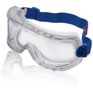 Beeswift BBWVG Wide Vision Goggles Clear